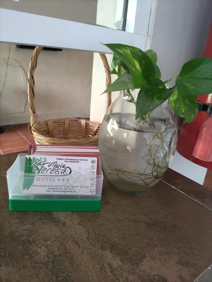Río Verde Hotel Maria Teresa מראה חיצוני תמונה